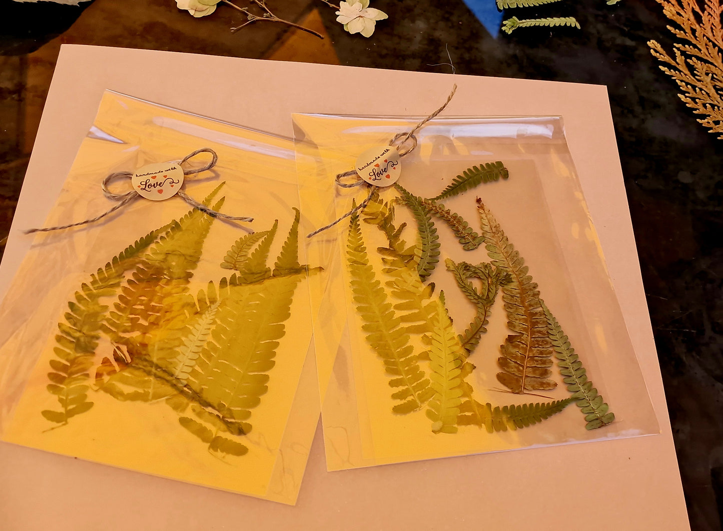 Handmade Farnblätter-Set für Journaling & Scrapbooking Handmade Fern Leaf Set for Botanical Journaling