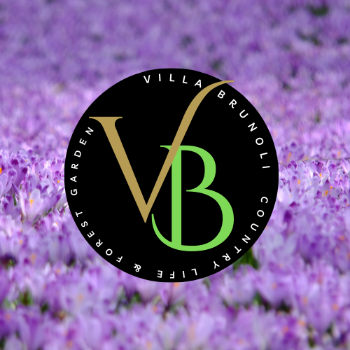 4-in-1 Doll "Create Your Doll Yourself" DIY