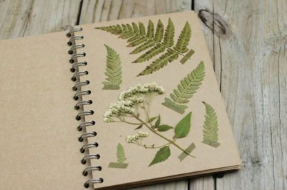 Handmade Farnblätter-Set für Journaling & Scrapbooking Handmade Fern Leaf Set for Botanical Journaling